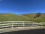 3343 Little Valley Rd Lot 4 - Photo 17
