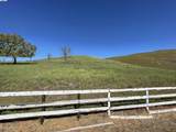 3343 Little Valley Rd Lot 4 - Photo 19