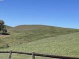3343 Little Valley Rd Lot 4 - Photo 10