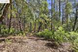23282 Comstock Ranch - Photo 12