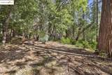 23282 Comstock Ranch - Photo 9