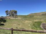 3343 Little Valley Rd Lot 1 - Photo 11