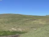 3343 Little Valley Rd Lot 1 - Photo 12