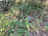 21893 Sawmill Flat Rd - Photo 4