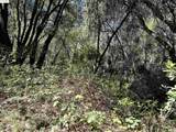 21893 Sawmill Flat Rd - Photo 6