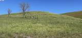 3343 Little Valley Rd Lot 3 - Photo 26