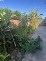 42878 Fontainebleau Park Ln - Photo 17