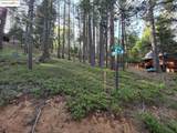 2904 Venado Dr - Photo 9
