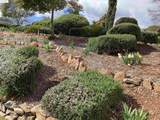 20325 Eureka Dr - Photo 46