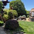 2434 Hibiscus Drive - Photo 40