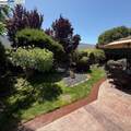 2434 Hibiscus Drive - Photo 48