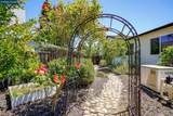 3709 Anderhan Pl - Photo 37