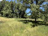 0000 Meadow Lane - Photo 5