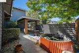 3336 Fontana Pl - Photo 40