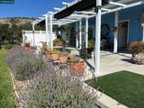 16 Paul Place - Photo 4