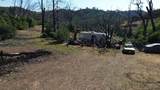 11311 Pine Flat - Photo 24