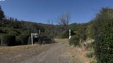 11311 Pine Flat - Photo 42