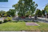 561 Manzanita Ave - Photo 39