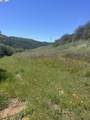 13160 Uvas Rd - Photo 5