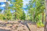 23980 Cedar Hill Lane - Photo 59