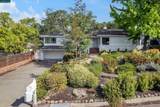 25 Acacia Dr - Photo 12