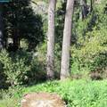 0 Skyline Blvd. - Photo 15