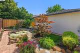 6632 Spruce Ln - Photo 19