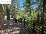 20846 Telele Trail - Photo 10