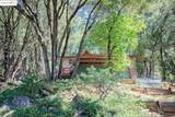 18070 Pipit Ct - Photo 5
