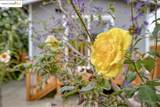 7524 Halliday Ave - Photo 34