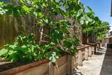 2057 Rapallo Way - Photo 28