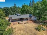 2863 April Ln 1 - Photo 53