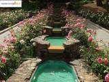 580 Chetwood St. - Photo 52