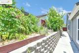 4525 Temblor Way - Photo 29