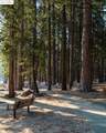26609 Old Mono Rd. - Photo 42