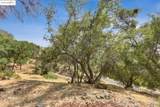 112 Vinicola Ct - Photo 38