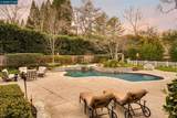 45 Lark Pl - Photo 34