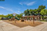 3869 Sunrose Rd - Photo 39