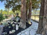 1883 Piedras Cir - Photo 32