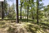 17787 Lucky Strike Trail - Photo 3