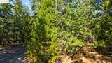 23983 Pack Trail Rd - Photo 1