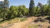 21850 Ferrari Road - Photo 4