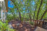 21169 Crystal Falls Drive - Photo 43