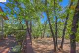 21169 Crystal Falls Drive - Photo 47