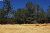 3341 Rancho Tierra Ct - Photo 3