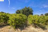 8055 Airola Rd - Photo 36