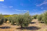 8055 Airola Rd - Photo 37
