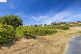 8055 Airola Rd - Photo 40