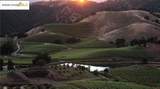 8055 Airola Rd - Photo 47