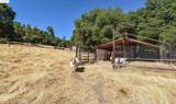 13893 Tuolumne Rd - Photo 11